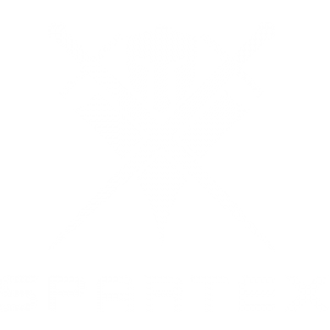 Spartex PC Logo